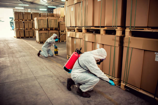 Best Rat Extermination Near Me  in Mount Pleasant, SC