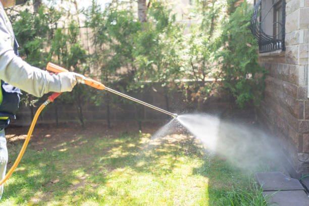 Best Affordable Pest Control Services  in Mount Pleasant, SC