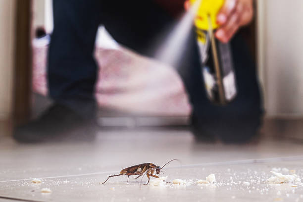 Best Exterminator Services  in Mount Pleasant, SC