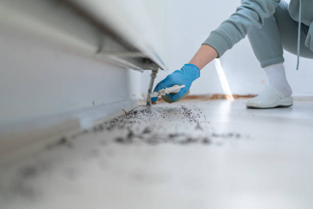 Best Mosquito Control Services  in Mount Pleasant, SC